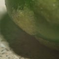 pea.jpg