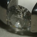 ring_2.jpg