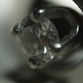 ring_4.jpg