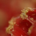 P4040381.jpg