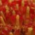 80x80-P4030369.jpg