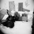 holga4.jpg