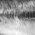 water1.jpg
