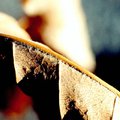 leaf7.jpg