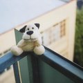 mr_doggy_f2.8.jpg