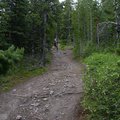 DSCN9838.JPG