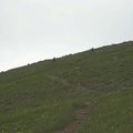 DSCN9847.JPG