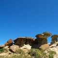 P6033955.jpg