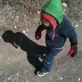 IMG_0505.jpg