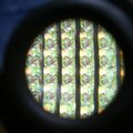 DCP_2311.jpg