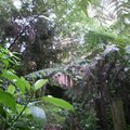 DCP_2339.jpg