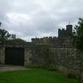 DCP_2347.jpg
