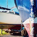 boats.jpg