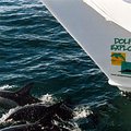 withboat_2.jpg