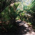 lovers_walk_1.jpg
