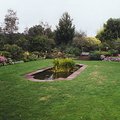 english_country_garden.jpg