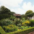 herb_garden.jpg