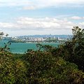 auckland_view.jpg