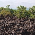 lava_2.jpg