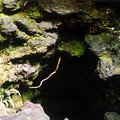 lava_tube_1.jpg