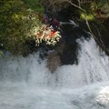 DSC_1549.JPG