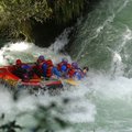 DSC_1555.JPG