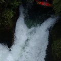 DSC_1607.JPG