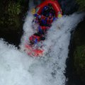 DSC_1610.JPG