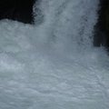 DSC_1614.JPG