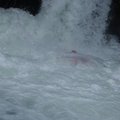 DSC_1615.JPG