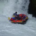 DSC_1622.JPG
