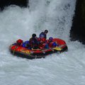 DSC_1625.JPG