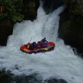DSC_1626.JPG