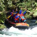 DSC_1636.JPG