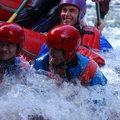 DSC_1660.JPG