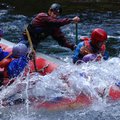 DSC_1684.JPG