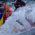 DSC_1686.JPG