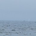 P7149231.jpg