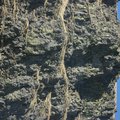 IMG_2691.jpg