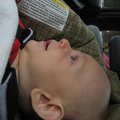 IMG_2842.jpg
