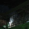 IMG_2873.jpg