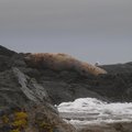 P6172425.jpg