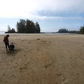 P6192583.jpg