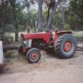 crop0039.jpg
