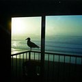 lincoln_city_room_1.jpg