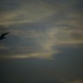lincoln_city_sunset_7.jpg
