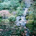 portland_jap_gdn_6.jpg