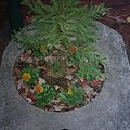 portland_park_2.jpg