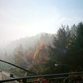 portland_walk_2.jpg