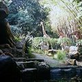 portland_zoo_1.jpg
